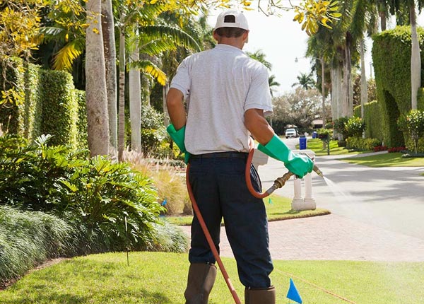 About Pottersville NJ Pest Control Pros